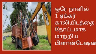 ஒரே நாளில்1ஏக்கர்காலியிடத்தைதோட்டமாகமாற்றியபிளான்டேஷன்  What are the examples of plantation plants [upl. by Malas]