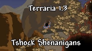 Terraria 13 Tshock Shenanigans Bone Serpents Ancient Visions and Coin Waves [upl. by Virginia]