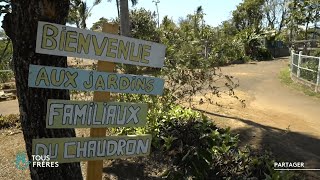 Les jardins familiaux du Chaudron à La Réunion  Sur le terrain [upl. by Notfa]