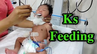 KS FEEDING IN NICU  NEWBORN BABY FEEDING  NICU viralvideo feeding cute [upl. by Igic]