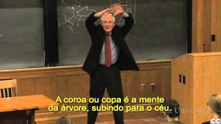 Introdução à Teoria da Literatura 15 com Paul Fry de Yale [upl. by Aryc]