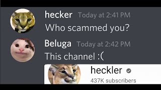 How Beluga Gets Scammed By Heckler [upl. by Enrobyalc869]