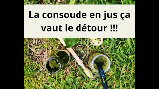 La consoude  en jus ça vaut le détour [upl. by Ailyt]