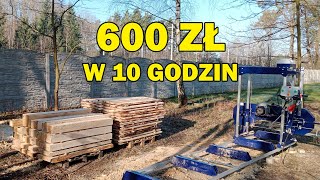 115 Własny trak  czy to się opłaca Cormak E560 [upl. by Erdnoed51]