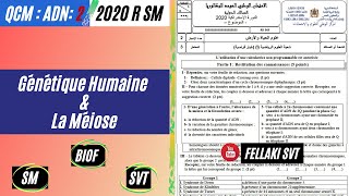 QCM2 2020 R BIOF  La méiose  la génétique humaine [upl. by Anircam]