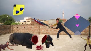 Kite Cutting With Eid Cow Zaba  Kite [upl. by Ahsiyk860]