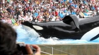 Blackfish  Official Trailer US 2013 Orca Tilikum [upl. by Idnahc]