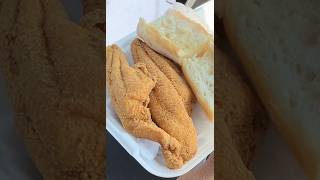 Willibys Catfish [upl. by Irv]