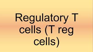 Regulatory T cells T regs Pronunciation  How to Say  How to Pronounce [upl. by Neiman559]