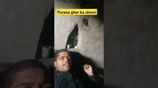 🥰🏊🏿Purana ghar ka sherni 🤔viralvideo [upl. by Ranna]