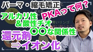 還元剤イオン化とは？【PKA】について理解することで「アルカリ・酸性チオ」の理解も出来ていきます【美容師初心者向け】パーマ・縮毛矯正をロジカルに考える [upl. by Sigismondo]