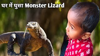 घर में घुसा Monster Lizard  इतना बड़ा मॉन्स्टर लिजार्ड पहले कभी नहीं देखा  गोइली  kharolkkc [upl. by Gray]