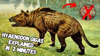 Hyaenodon Gigas You Might Be Misled By This Prehistoric Predator [upl. by Ellenehs966]