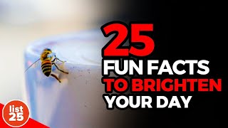 25 Fun Facts to Brighten Your Day [upl. by Bozuwa]