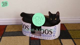 How To Make A Cat Bed From A Cardboard Box  Zapposcom DIY [upl. by Eluk577]