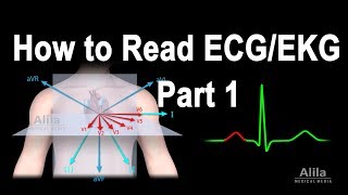 How to Read ECGEKG Part 1 Animation [upl. by Jeromy]