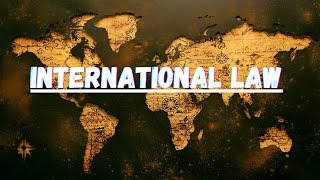 Double Nationality  Statelessness  International Law  Tamil [upl. by Onahpets953]