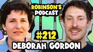 Deborah Gordon Ants Myrmecology and Collective Behavior  Robinsons Podcast 212 [upl. by Vasili]