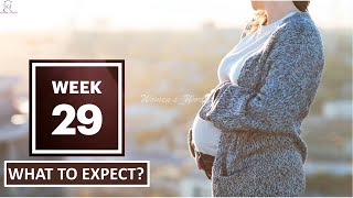 29 Weeks Pregnant What To Expect [upl. by Rozek]