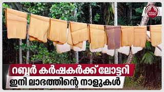 റബ്ബർ കർഷകർക്ക് ലോട്ടറിഇനി ലാഭത്തിന്റെ നാളുകൾ  Rubber Price  Kerala [upl. by Adnahsar]