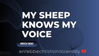 My Sheep Knows My Voice  Sr Barbra  ECA Special Song [upl. by Naahsar]