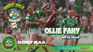 GAA PROFILE Ollie Fahy [upl. by Nnylimaj]