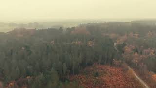 Delamere Forest from my DJI Mavic Mini 4 Pro Combo Drone autumn 2024 [upl. by Felice]