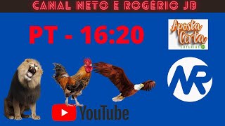 RESULTADO AO VIVO ROGERIO E NETO JB  PTV  27112024 [upl. by Abbie]