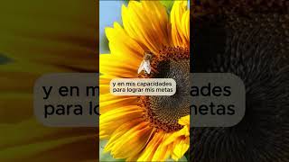 🌻 FRASES POSITIVAS para comenzar el día 🌞 [upl. by Furiya249]