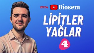 Lipitler Soru Çözümü  yks2024 Biyoloji Soru Çözümü  9sınıf Soru Çözümü [upl. by Dusa]