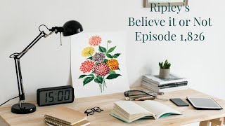 Ripleys Believe it or Not  Episode 1826  Ripley’s Rarities 7 [upl. by Chryste960]