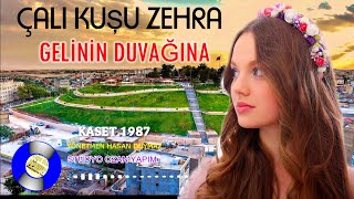 Adiyaman Türküsü Gelinin Duvağına Çalıkuşu Zehra [upl. by Vieva]