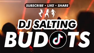 Dj Salting  KRZ Budots Remix  Viral Song 2021 [upl. by Emearg]