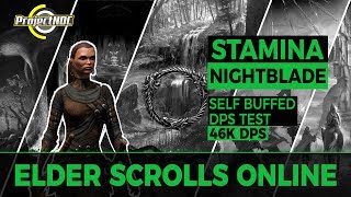 ESO  Stamina Nightblade 46k Self Buffed Target Skeleton DPS Test [upl. by Main637]