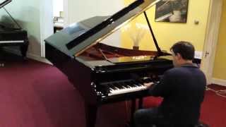 Bosendorfer 225 [upl. by Michell]