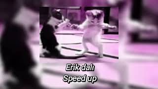 ERİK DALISPEED UP [upl. by Stanway]