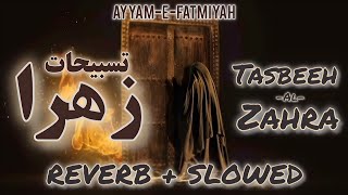 Tasbeh Al Zahra sa ♪Slowed  Reverb  Bibi Fatima Zehra Munjat Dua  Noha 2024  Urdu Subtitles [upl. by Sylado754]