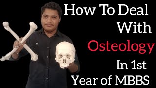 HOW TO DEAL WITH OSTEOLOGY ☠️ IN 1ST YEAR OF MBBS [upl. by Aleunamme211]