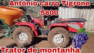 Mostrando Antônio carraro Tigrone 5800 [upl. by Fidelas]