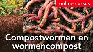 Online cursus Compostwormen en wormencompost [upl. by Ecnav803]