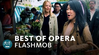 ChorFlashmob Best of Oper  WDR Rundfunkchor [upl. by Gaskins309]