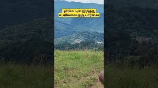 புல்மேடு swamysaranam sabarimalaayyapan sabarimalaiayyappanofficial [upl. by Drucie]