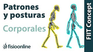 Patrones y posturas corporales  El lenguaje propioceptivo del cuerpo [upl. by Zennie]