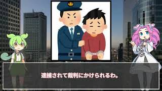 裏DVD販売業者はなぜ逮捕されないのかをずんだもんが解説 [upl. by Nylirrehs360]