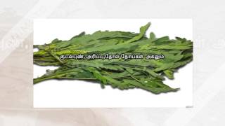 Agathi keerai health benefits [upl. by Petras]