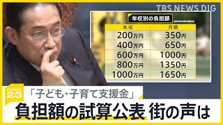 年収600万円で月1000円 「子ども・子育て支援金」年収別の負担額の試算公表 街の声は？ 事業者も“負担増”への懸念も【news23】｜TBS NEWS DIG [upl. by Boardman]