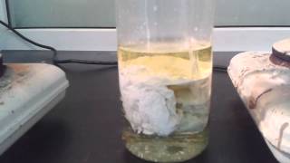 High concentration silver nitrate and Hydrochloric acid [upl. by Stokes]