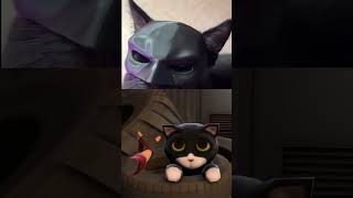 shot Cat man batman cat catsoftiktok bat catman meow [upl. by Carena742]