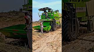 Qismat chandri band pei h vich machina de 🤟🤟🦅🦅 shortvideo balkarcombine viral farmer combine [upl. by Mundy]