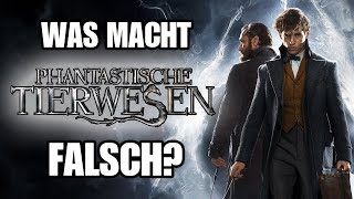 PHANTASTISCHE TIERWESEN und wo sie PROBLEME haben  Was macht das HarryPotterSpinOff falsch [upl. by Haliak]